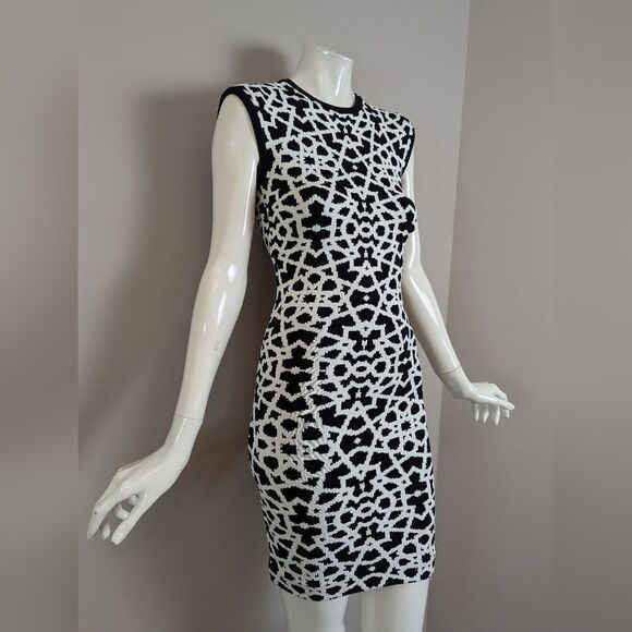 Torn by Ronny Kobo Bodycon Dress – XS – Geometric Knit – Zip Back - Picture 7 of 9